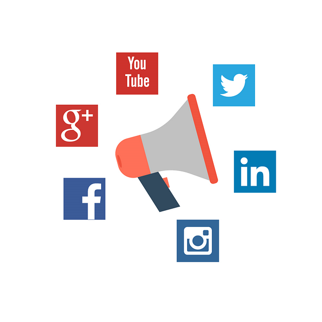 Les meilleures plateformes pour suivre des formations en ligne
