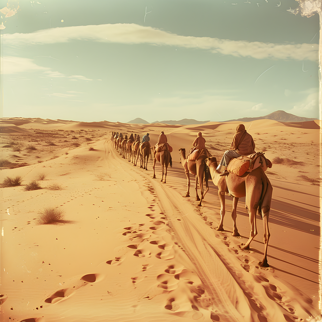 Comment voyager de manière écoresponsable